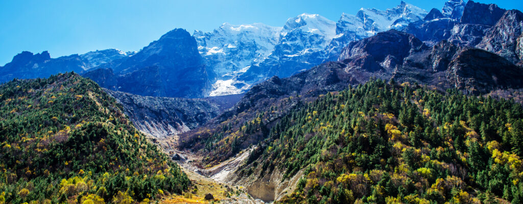 Gangotri national park