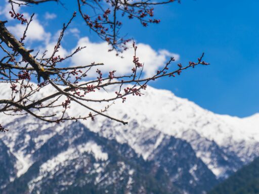 harsil valley uttarakhand