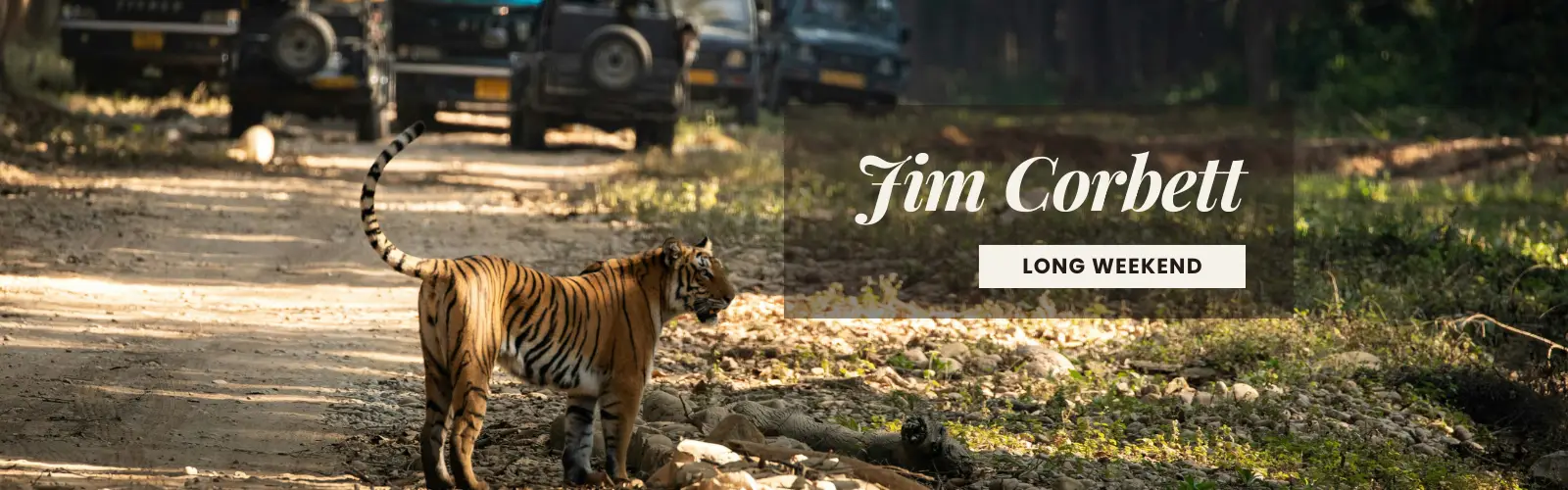 Jim Corbett Tour Package